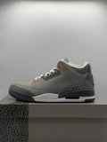Air Jordan 3 Retro Cool Grey (2021) (WORN)