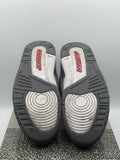 Air Jordan 3 Retro Cool Grey (2021) (WORN)