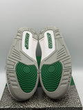 Air Jordan 3 Retro Pine Green (WORN)