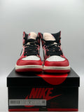 Air Jordan 1 Retro High OG Spider-Man Across the Spider-Verse (WORN)