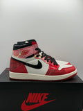 Air Jordan 1 Retro High OG Spider-Man Across the Spider-Verse (WORN)