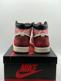 Air Jordan 1 Retro High OG Spider-Man Across the Spider-Verse (WORN)
