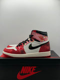Air Jordan 1 Retro High OG Spider-Man Across the Spider-Verse (WORN)