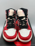 Air Jordan 1 Retro High OG Spider-Man Across the Spider-Verse (WORN)