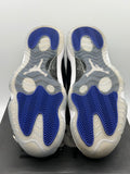 Air Jordan 11 Retro Space Jam (2016) (WORN)
