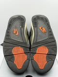 Air Jordan 4 Retro OG SP Undefeated (2025) (WORN)