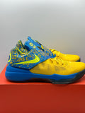 Nike KD 4 Scoring Title (2012) (WORN)