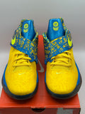 Nike KD 4 Scoring Title (2012) (WORN)