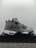 Air Jordan 4 Retro Cool Grey (2019) (WORN)