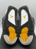Air Jordan 4 Retro Cool Grey (2019) (WORN)