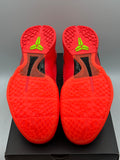 Nike Kobe 6 Protro Reverse Grinch (TRIED ON)