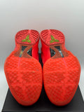 Nike Kobe 6 Protro Reverse Grinch (WORN)