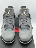 Air Jordan 4 Retro Cool Grey (2019) (WORN)