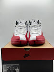 Air Jordan 12 Retro Cherry (2023) (WORN)