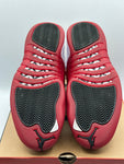 Air Jordan 12 Retro Cherry (2023) (WORN)