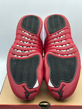 Air Jordan 12 Retro Cherry (2023) (WORN)