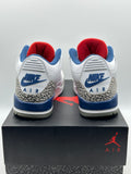Air Jordan 3 Retro True Blue (2016) (WORN)