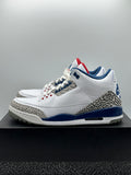 Air Jordan 3 Retro True Blue (2016) (WORN)