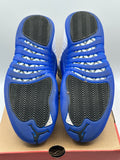 Air Jordan 12 Retro Blueberry (WORN)