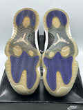 Air Jordan 11 Retro Concord (2018) (WORN)