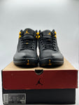 Air Jordan 12 Retro Black Taxi (WORN)