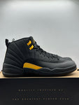Air Jordan 12 Retro Black Taxi (WORN)