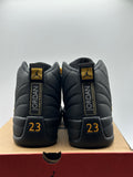 Air Jordan 12 Retro Black Taxi (WORN)