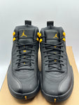 Air Jordan 12 Retro Black Taxi (WORN)