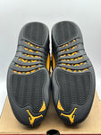 Air Jordan 12 Retro Black Taxi (WORN)