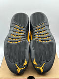 Air Jordan 12 Retro Black Taxi (WORN)
