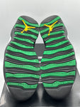 Air Jordan 10 Retro Seattle (WORN)