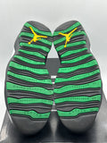 Air Jordan 10 Retro Seattle (WORN)
