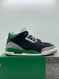 Air Jordan 3 Retro Pine Green (WORN)