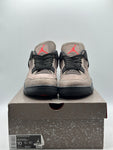 Air Jordan 4 Retro Taupe Haze (WORN)