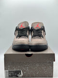 Air Jordan 4 Retro Taupe Haze (WORN)