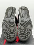 Air Jordan 1 Retro High Paris Saint Germain (WORN)