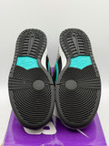 Nike SB Dunk Low atmos Elephant (WORN)