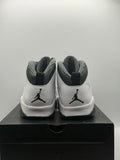Air Jordan 10 Retro Steel (2013) (WORN)