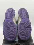 Nike SB Dunk High Dinosaur Jr. (WORN)