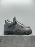 Air Jordan 4 Retro SE Paris Olympics Wet Cement (WORN)
