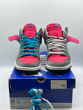 Nike SB Dunk High Brain Wreck (WORN)