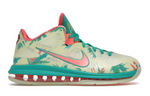 Nike LeBron 9 Low LeBronald Palmer (2022)