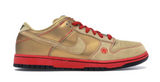 Nike SB Dunk Low Money Cat (WORN)