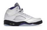 Air Jordan 5 Retro Dark Concord (WORN)