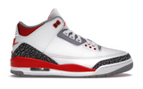 Air Jordan 3 Retro Fire Red (2022) (WORN)