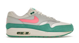 Nike Air Max 1 Watermelon (WORN/NO BOX)