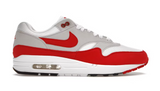 Nike Air Max 1 Anniversary Red (2017/2018 Restock Pair) (WORN/NO BOX)