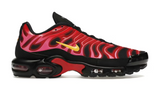 Nike Air Max Plus Supreme University Red (WORN)