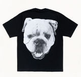 Stussy Big Dog Stone Washed Tee Shirt