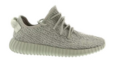 Adidas Yeezy Boost 350 Moonrock (WORN)